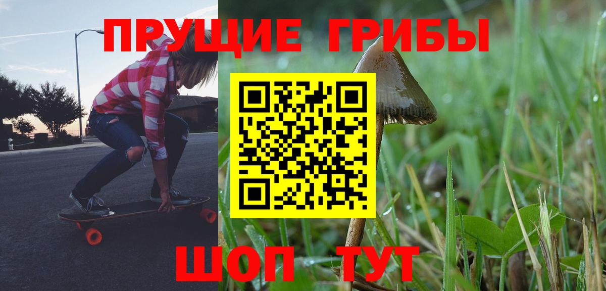 Псилоцибиновые грибы мухоморы Приморско-Ахтарск